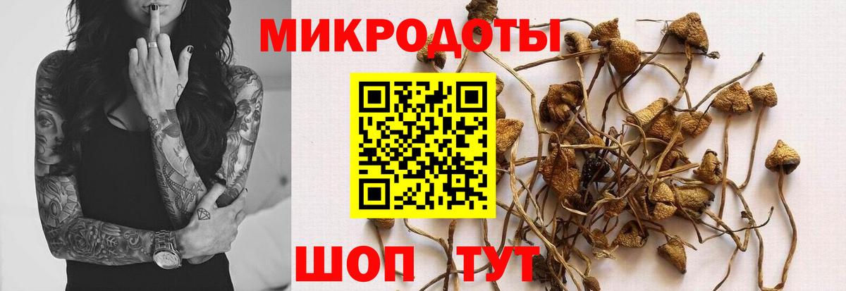 Когалым  Галлюциногенные грибы мухоморы  Вход с VPN 